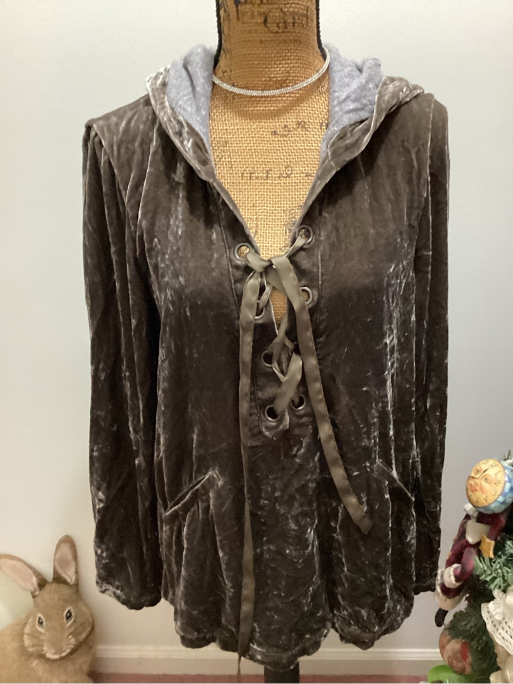 Free People Velvet Hoodie